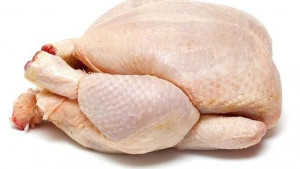 Ayam Potong